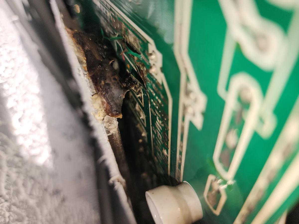 Failed control board found during a JHC diagnostic — the actual cause, not a guess